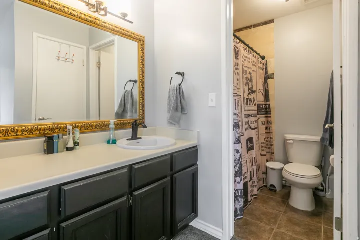Bathroom vanity featuring a single basin, dark cabinetry, and an ornate gold-framed mirror