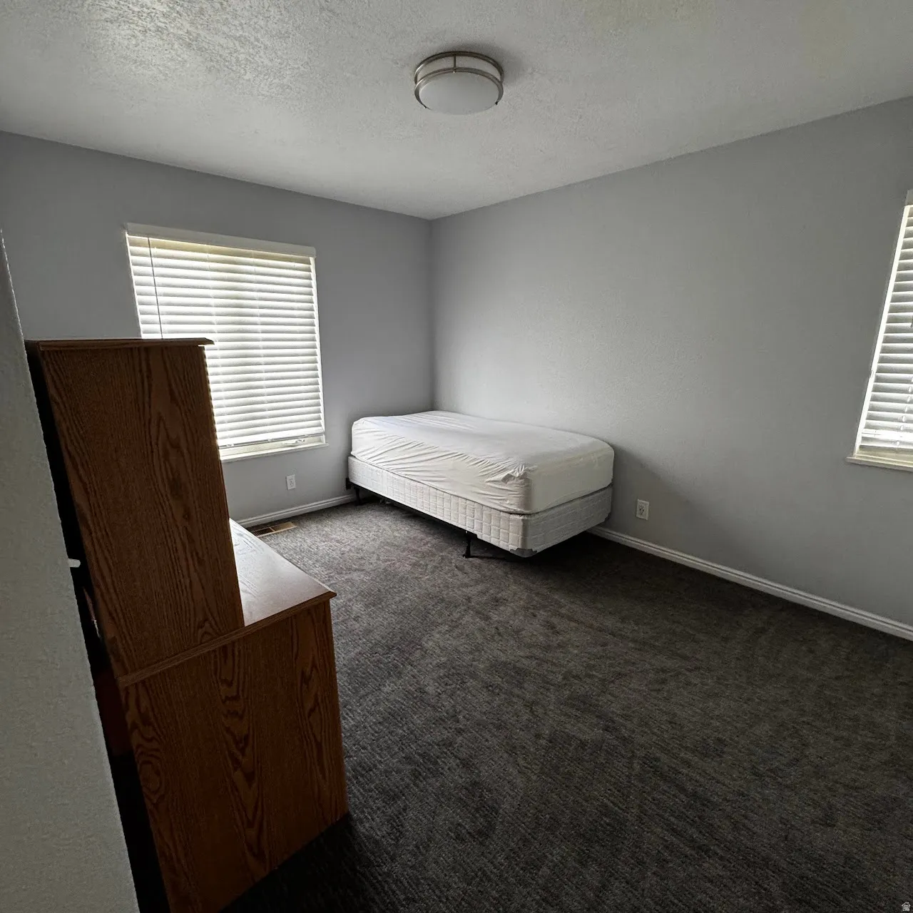 Gray-painted bedroom featuring carpet flooring, two windows with blinds, and a flush-mount ceiling light