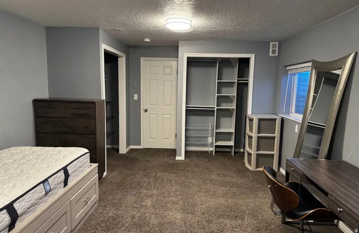 Spacious room featuring neutral gray wall tones, brown carpet flooring, an integrated closet system with shelving and hanging rods, a window with horizontal blinds, and a flush-mount ceiling light fixture