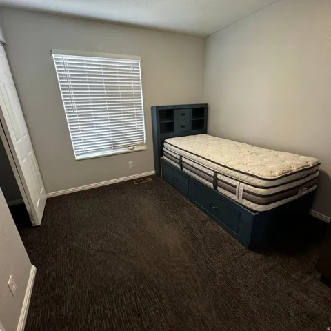 Carpeted room featuring a built-in closet, a wide window with blinds, gray walls, and white trim