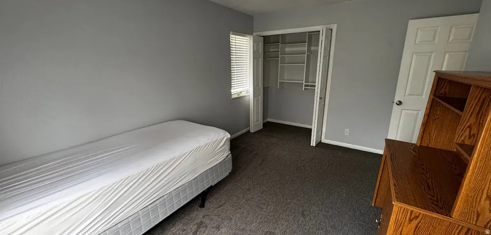 Carpeted interior space featuring a window with horizontal blinds, a closet with bifold doors and built-in shelving, and light gray walls