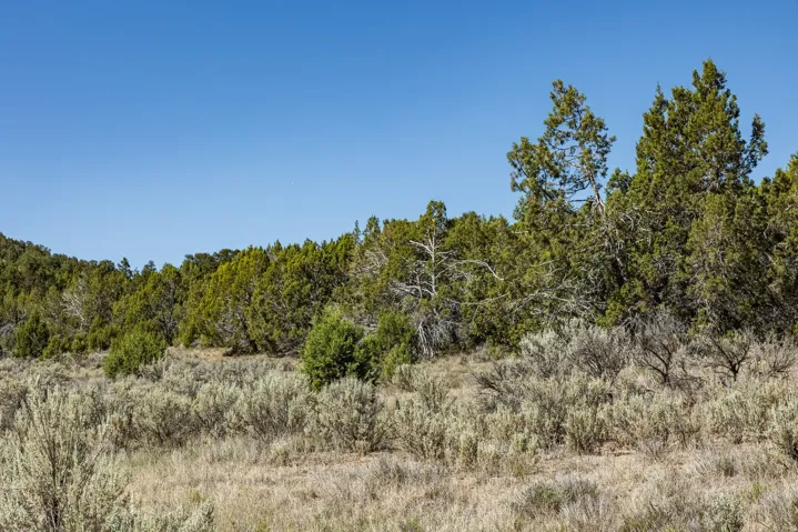 Unit 20, Indianola, Utah 84629