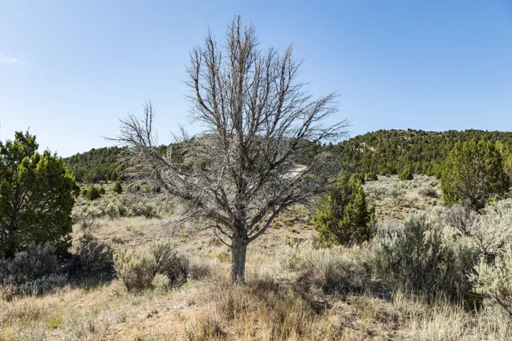 Unit 20, Indianola, Utah 84629