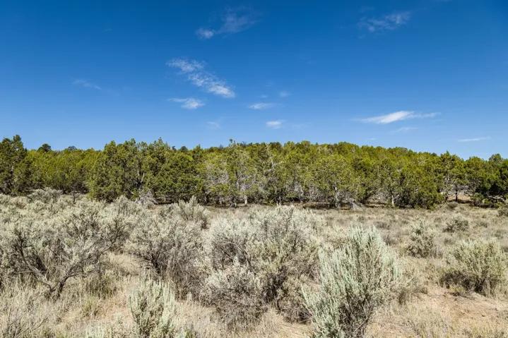 Unit 20, Indianola, Utah 84629