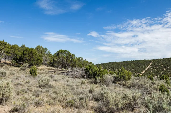 Unit 20, Indianola, Utah 84629