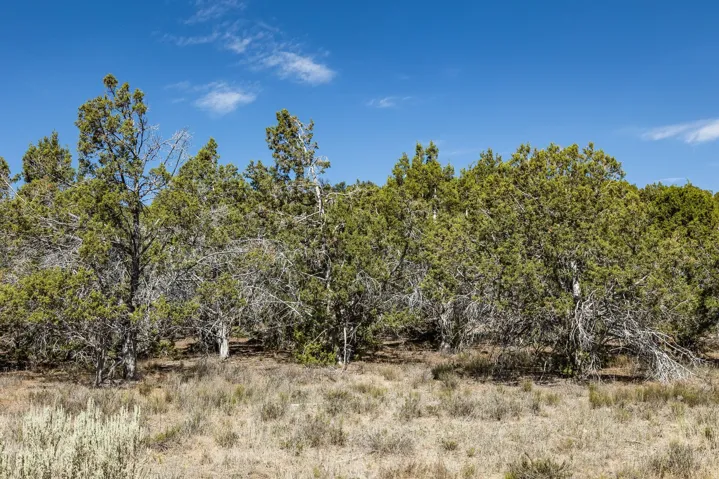 Unit 20, Indianola, Utah 84629