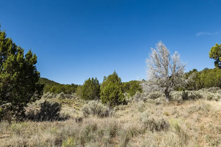 Unit 20, Indianola, Utah 84629