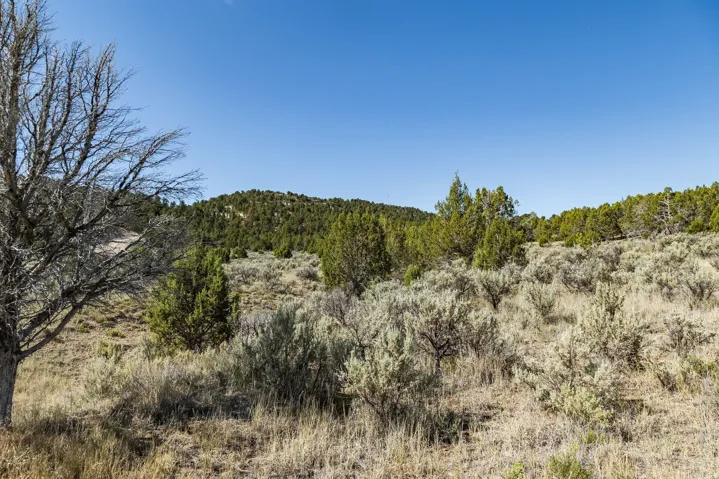 Unit 20, Indianola, Utah 84629