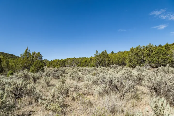 Unit 20, Indianola, Utah 84629