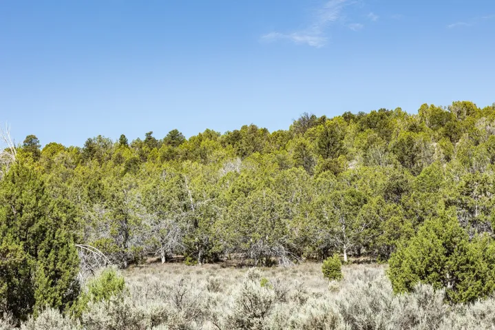 Unit 20, Indianola, Utah 84629