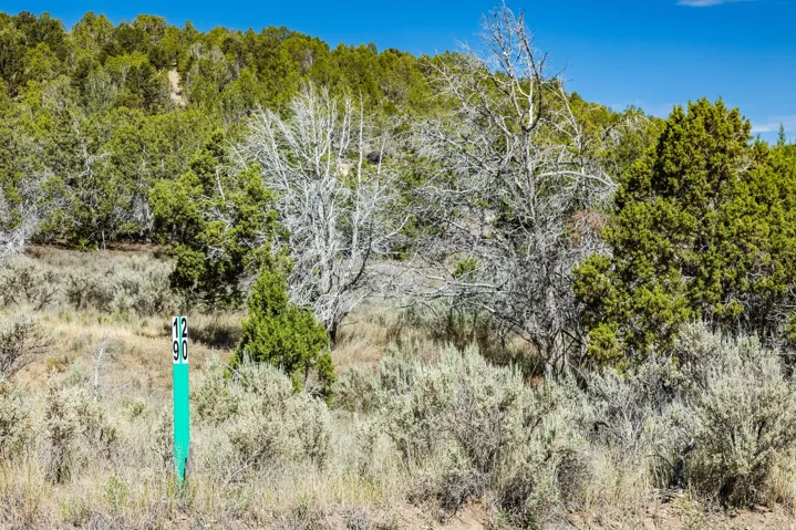 Unit 20, Indianola, Utah 84629