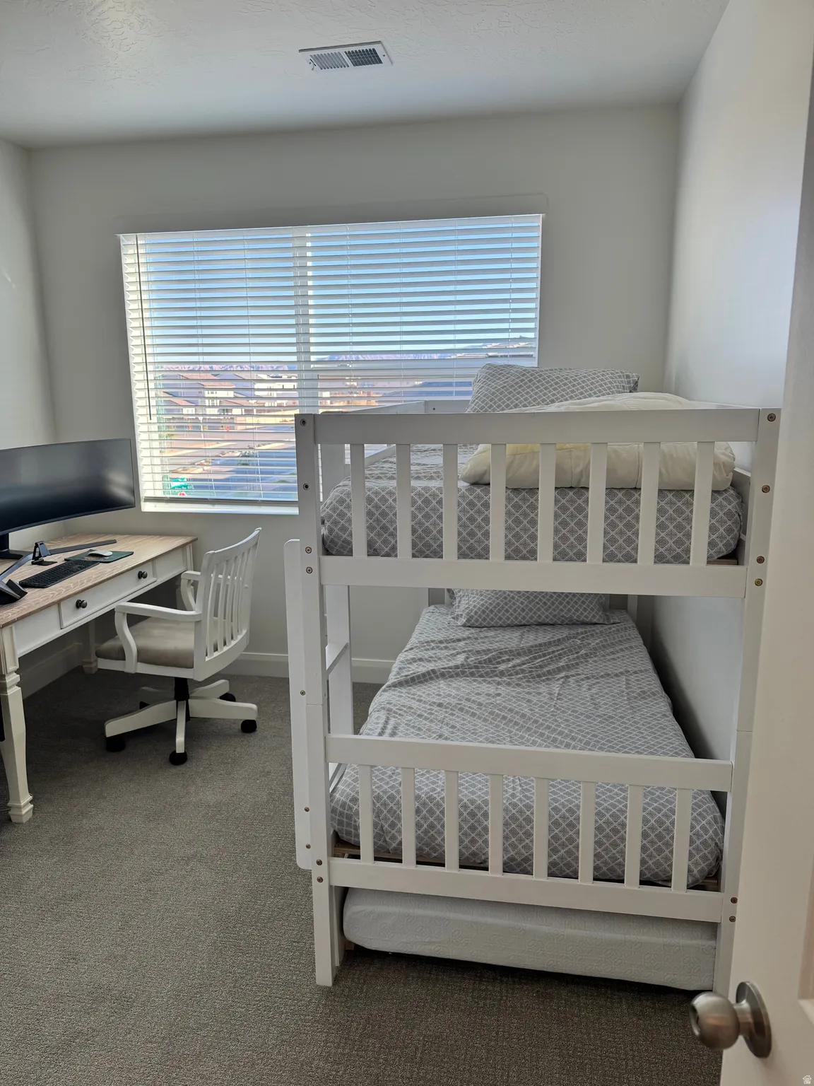 Room featuring light gray carpeting and a large window with white blinds