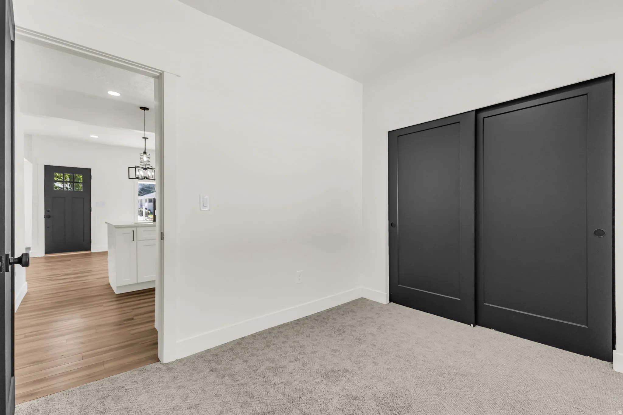 Room featuring grey carpeting, white walls, and a pair of dark panel sliding doors