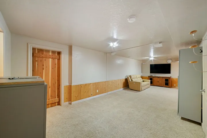 Carpeted room featuring wood paneling, recessed lighting, a barn-style door, and a wall-mounted projector screen