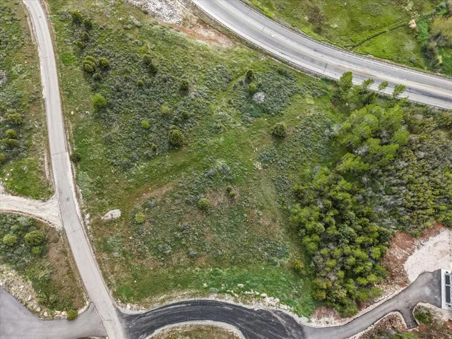 Expansive undeveloped land featuring natural foliage and established roadways