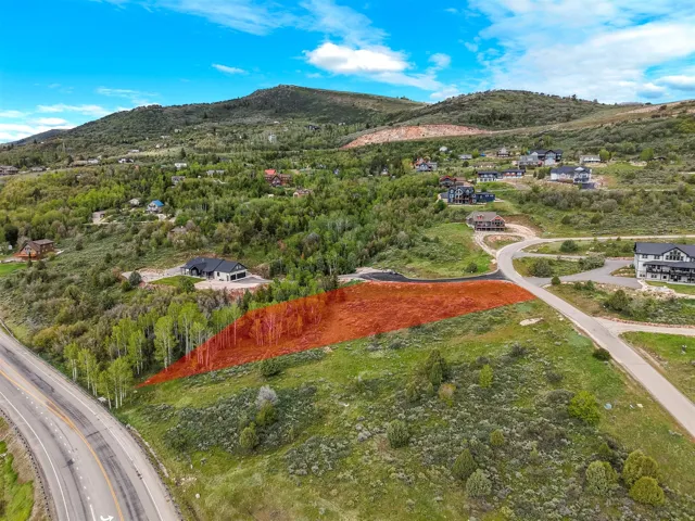 Expansive undeveloped lot featuring a natural treeline and a paved road frontage