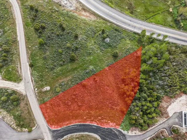 Expansive land parcel featuring natural topography, established trees, and direct road frontage