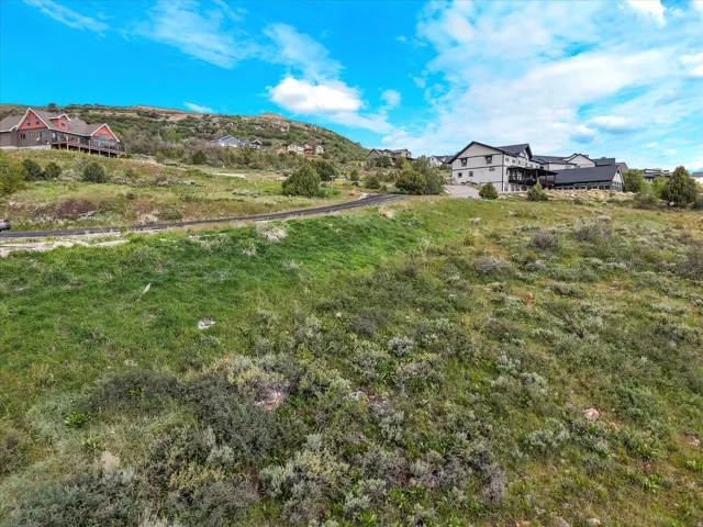 Expansive hillside property featuring natural landscaping