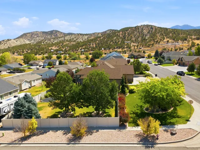 Residential neighborhood featuring mature landscaping, a paved street, and a gravel and concrete border