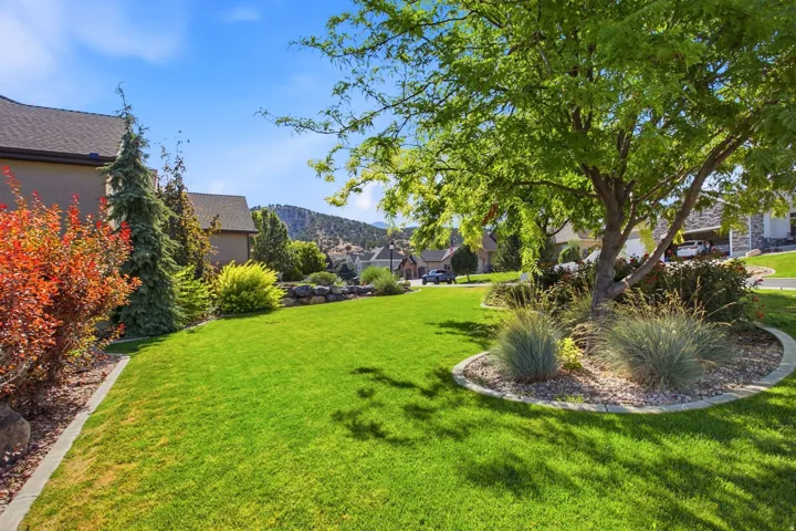 Expansive lawn featuring mature trees and established landscaping with varied foliage
