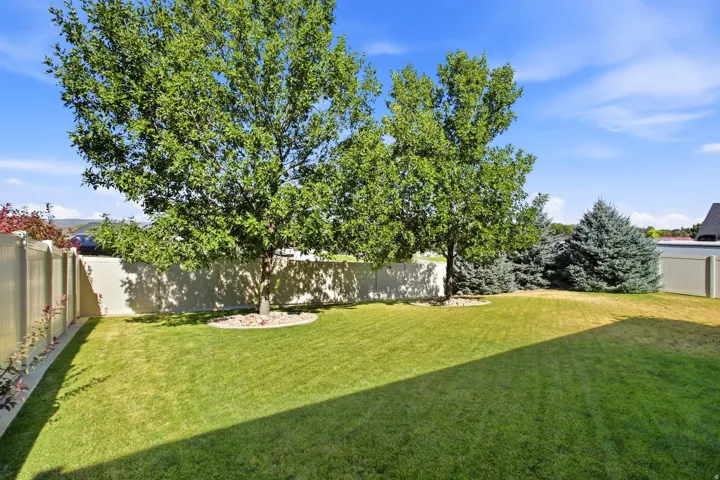 Expansive lawn space featuring mature deciduous trees and evergreen shrubs