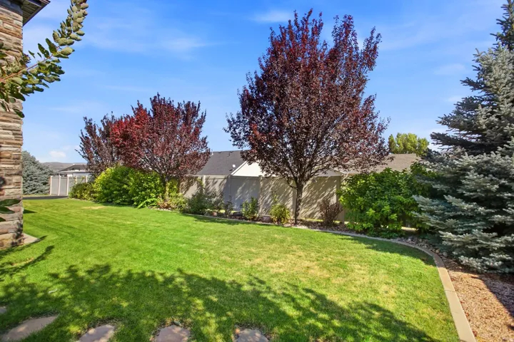 Expansive lawn area featuring mature deciduous trees with dark foliage, a stone-faced building element, and evergreen trees