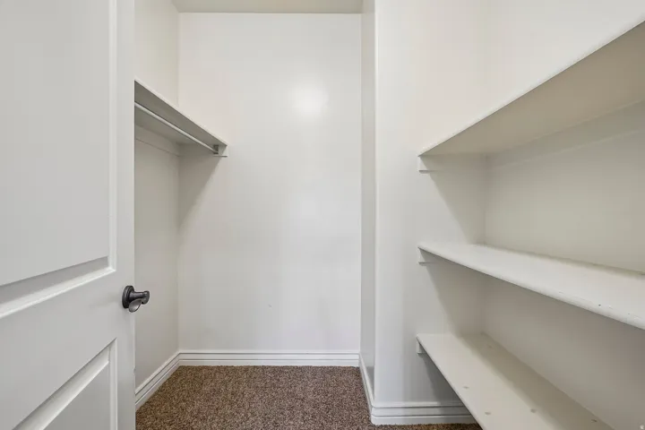 Spacious walk-in closet featuring built-in shelving, a hanging rod, plush carpet flooring, and a paneled door with dark hardware