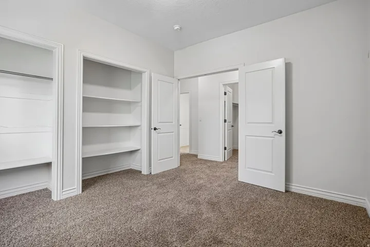 Carpeted interior room featuring two built-in closets, one with a hanging rod and shelf, the other with multiple storage shelves