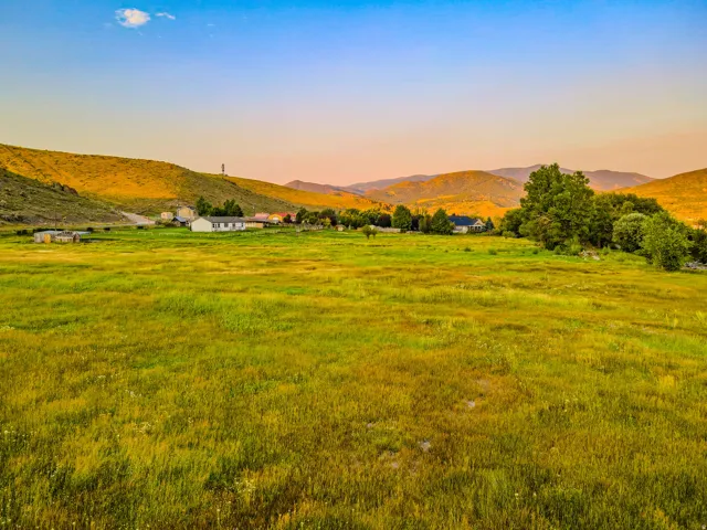 Expansive green field with distant mountain backdrop