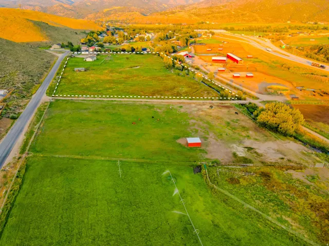 Expansive green acreage with visible property boundaries