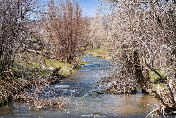 Spring Creek