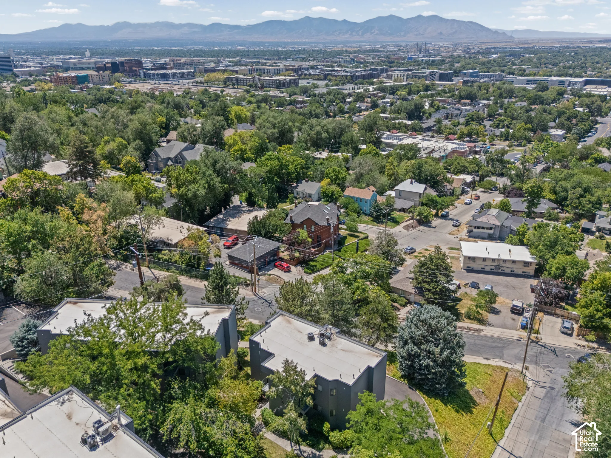 Expansive aerial perspective showcasing a residential neighborhood with mature trees