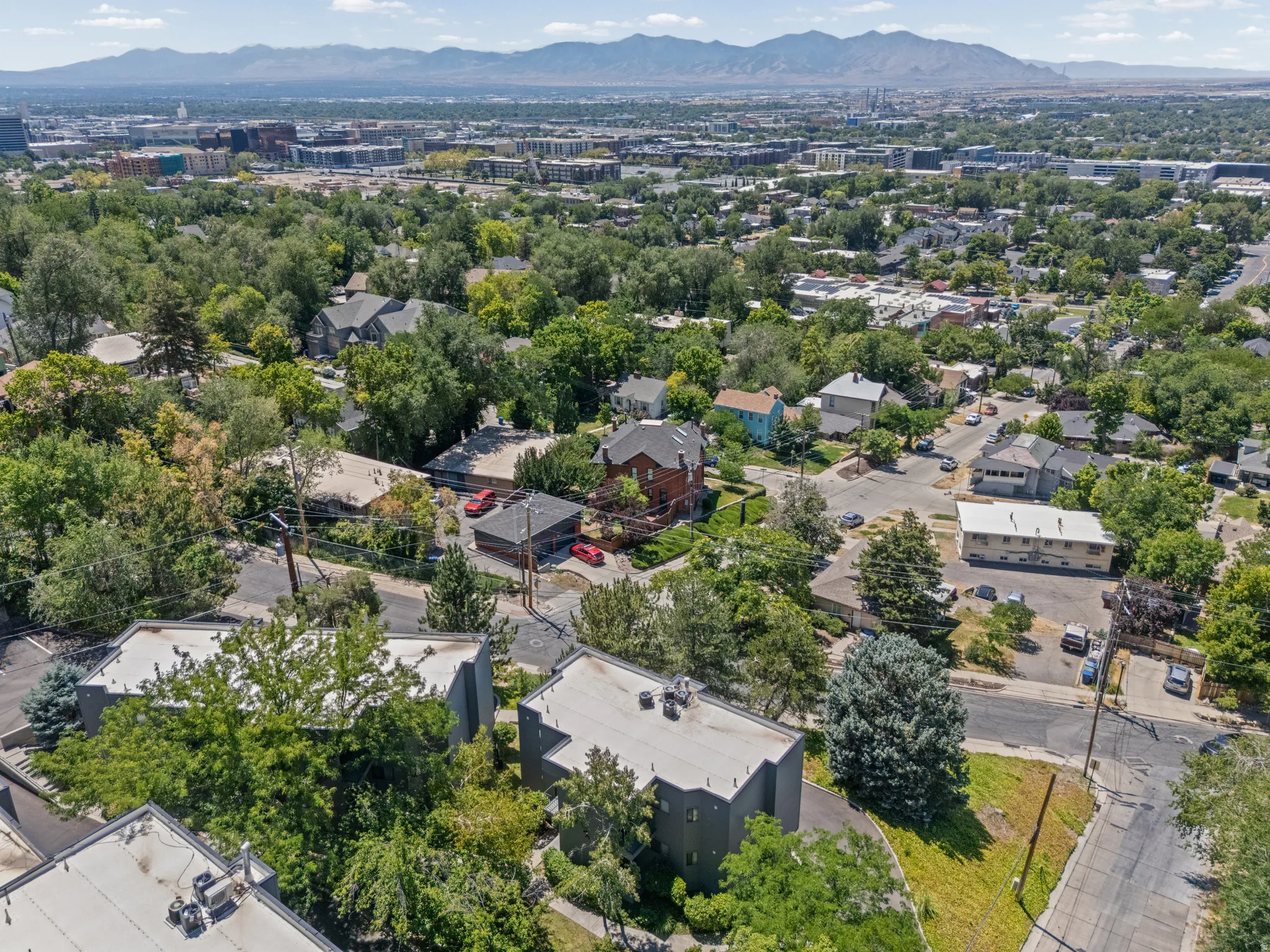 Expansive aerial perspective showcasing a residential neighborhood with mature trees
