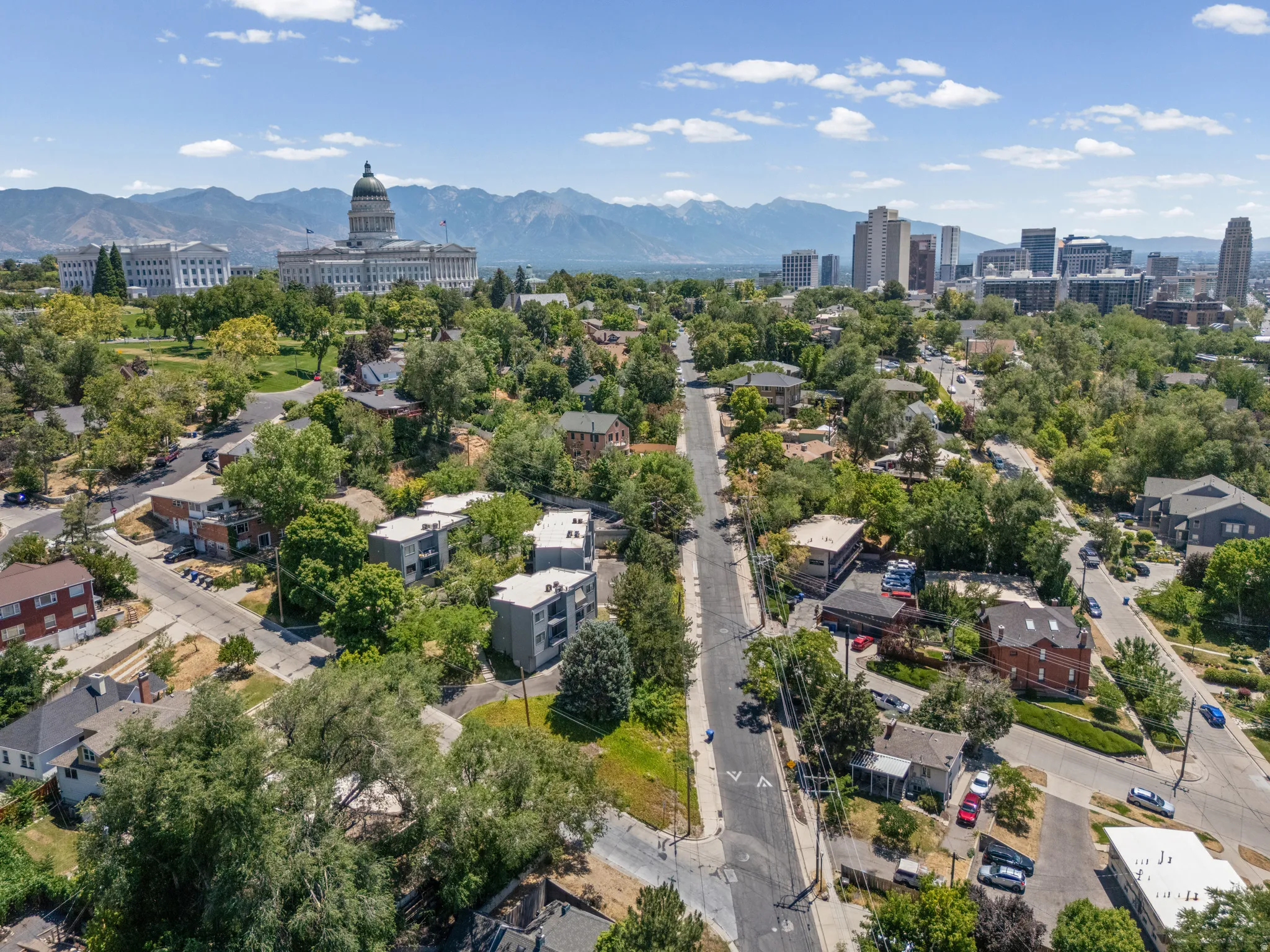 Aerial perspective showcasing a residential neighborhood with mature trees