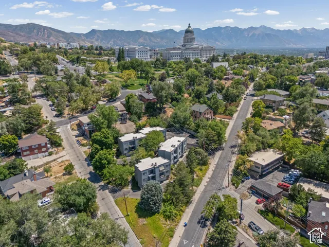 Aerial perspective showcasing a residential area with mature trees