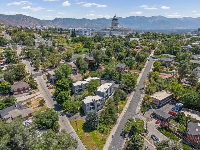 Aerial perspective showcasing a residential area with mature trees