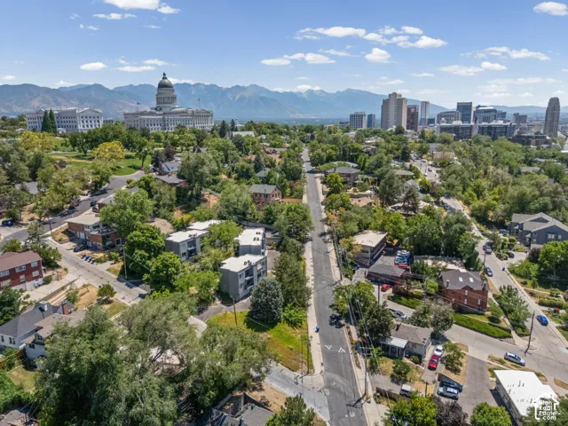 Aerial perspective showcasing a residential neighborhood with mature trees