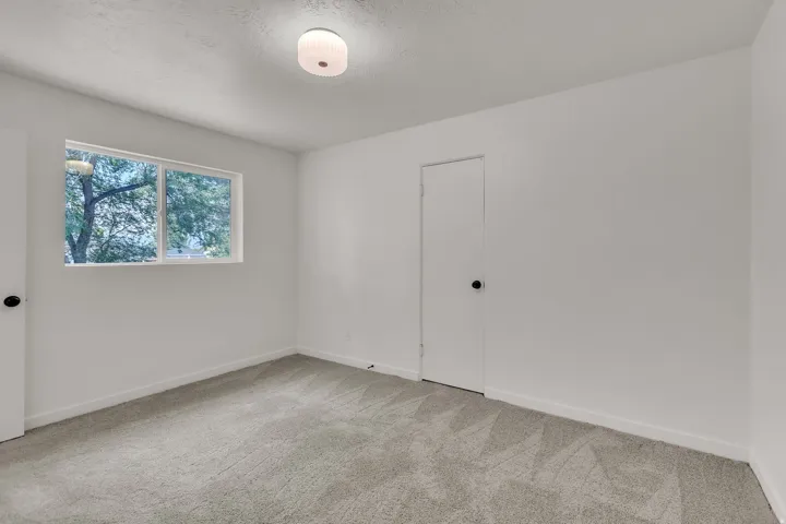 Bright room featuring light gray carpet, white walls, and a window with exterior tree scenery