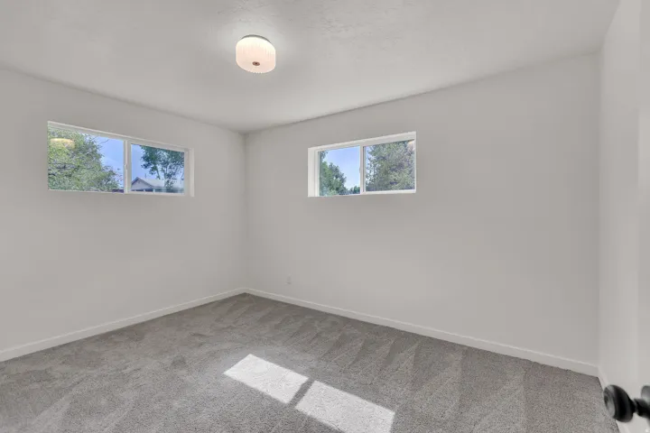 Interior room featuring light gray carpet, white walls, two windows, and a flush mount ceiling light fixture