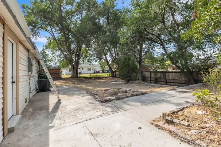 Expansive backyard featuring mature trees, a privacy fence, and a concrete patio