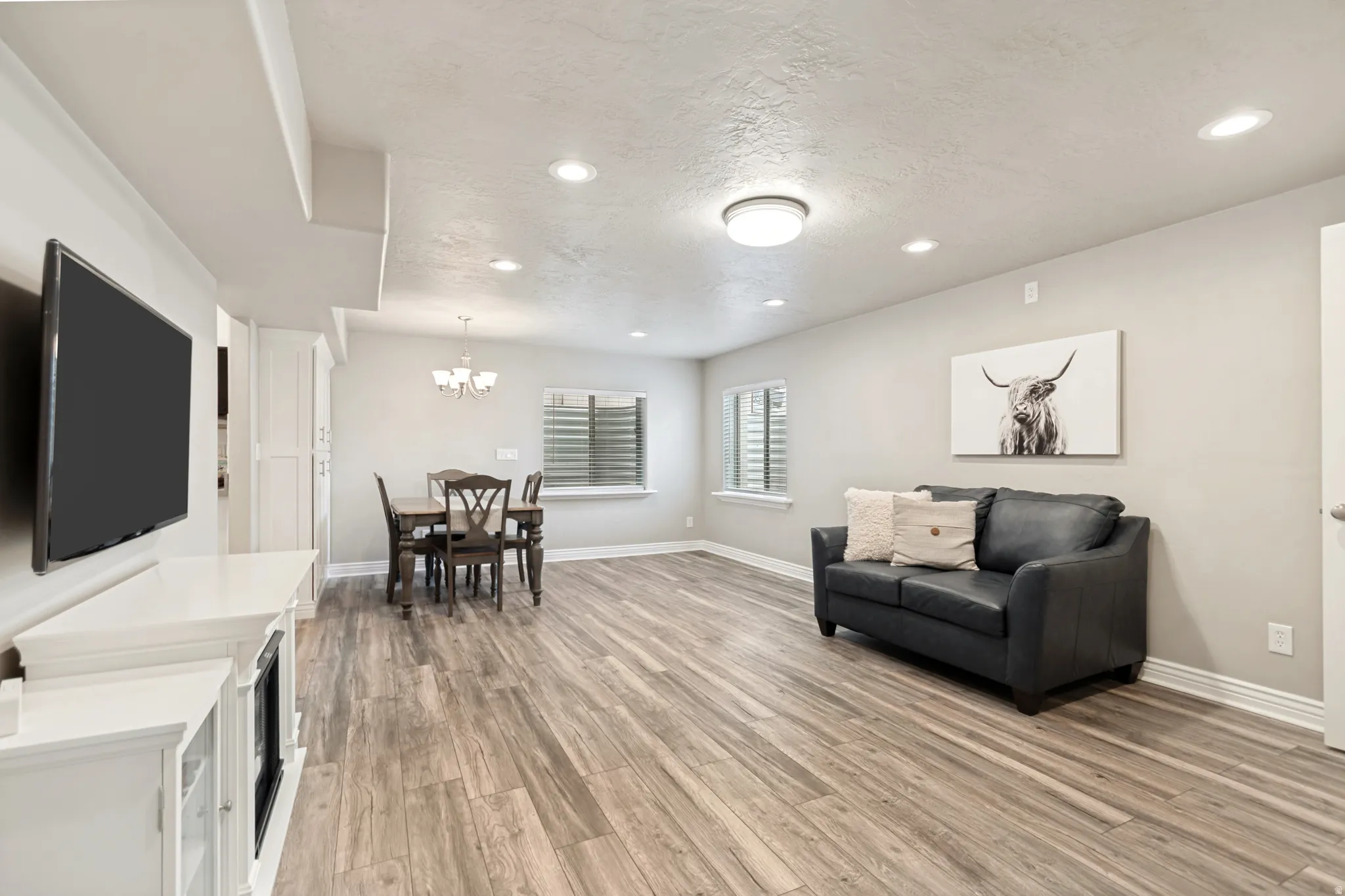 Lower Level Family Room