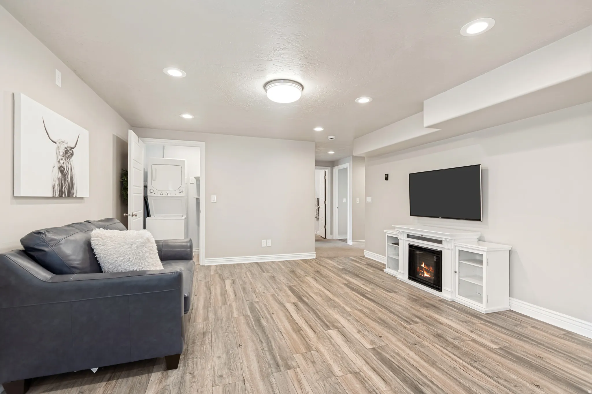 Lower Level Family Room