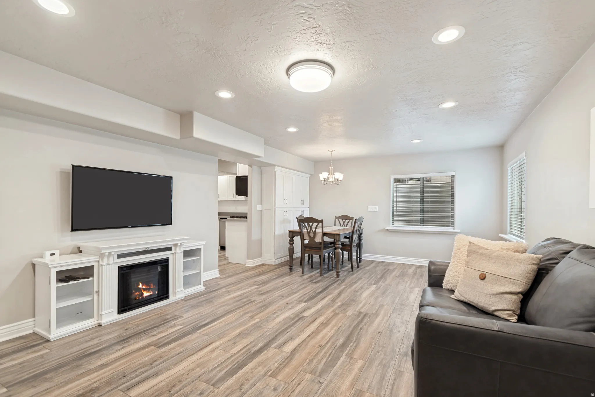 Lower Level Family Room