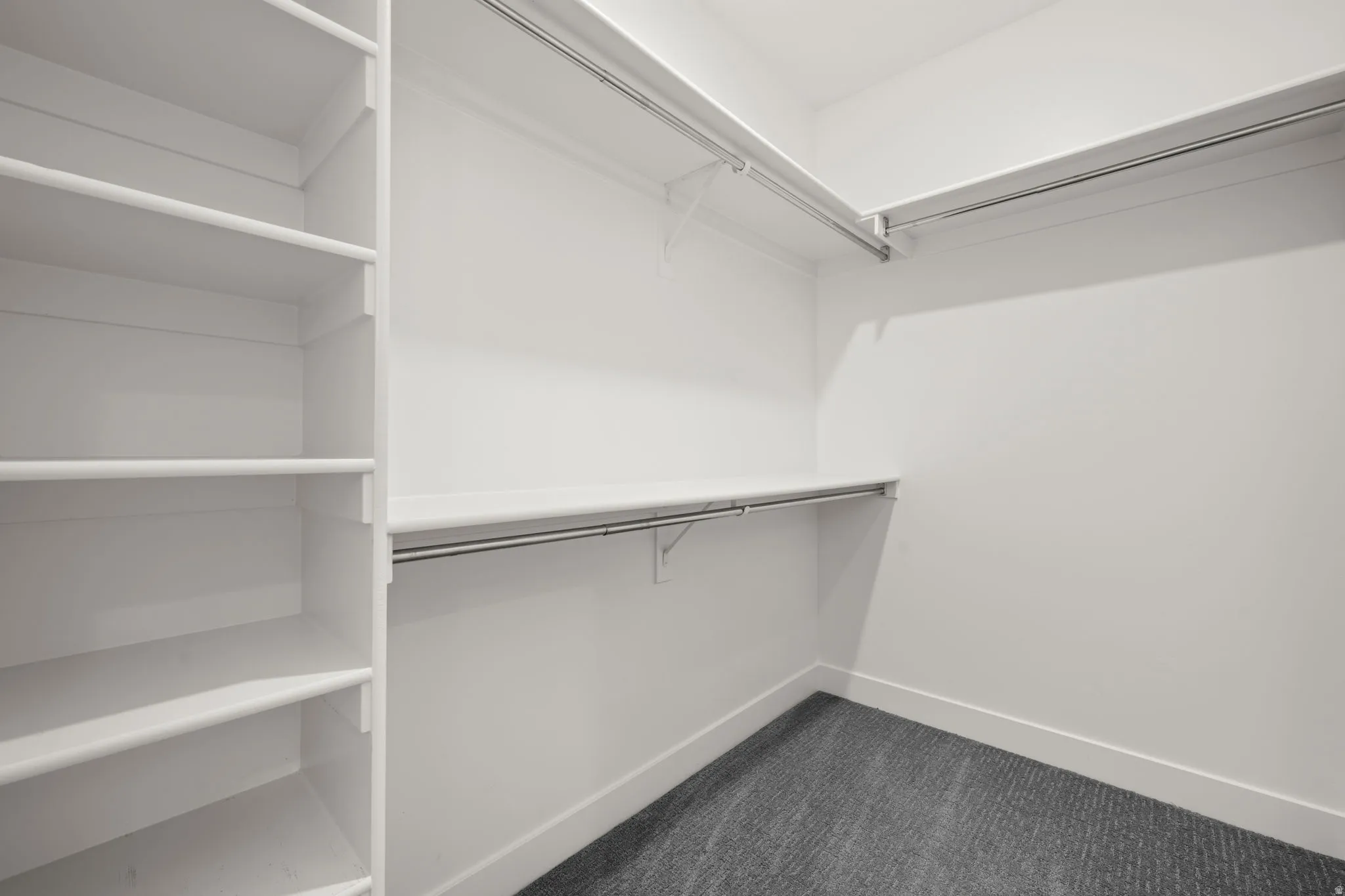 Walk-in closet featuring built-in shelving, white walls, white trim, chrome hanging rods, and grey carpet flooring
