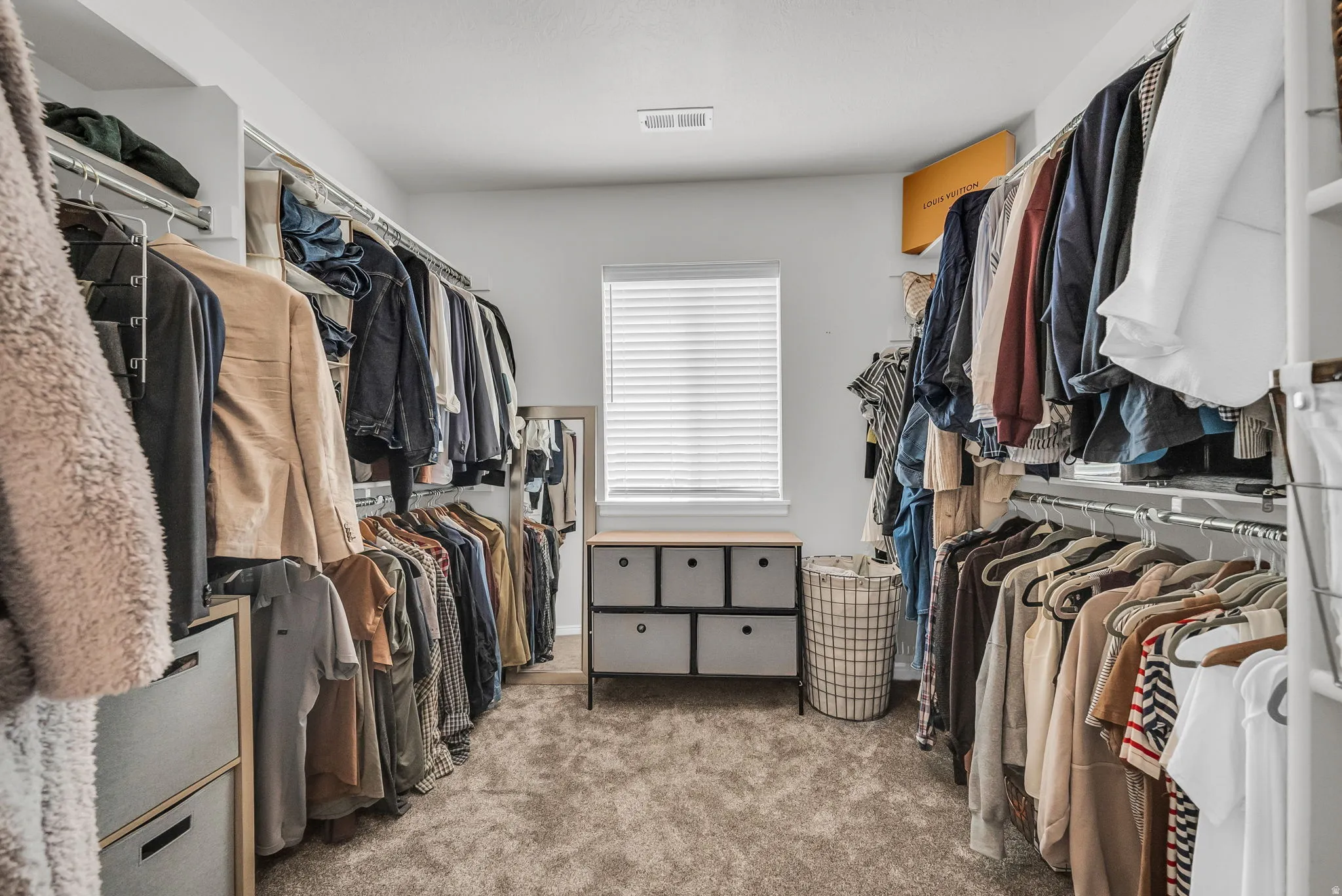 Walk-in closet featuring carpet flooring, built-in shelving, hanging rods, and a window with blinds