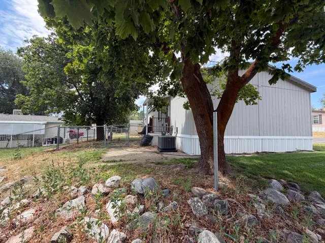 Mature shade tree with green foliage, complementing the light-colored siding and white skirting of the residence