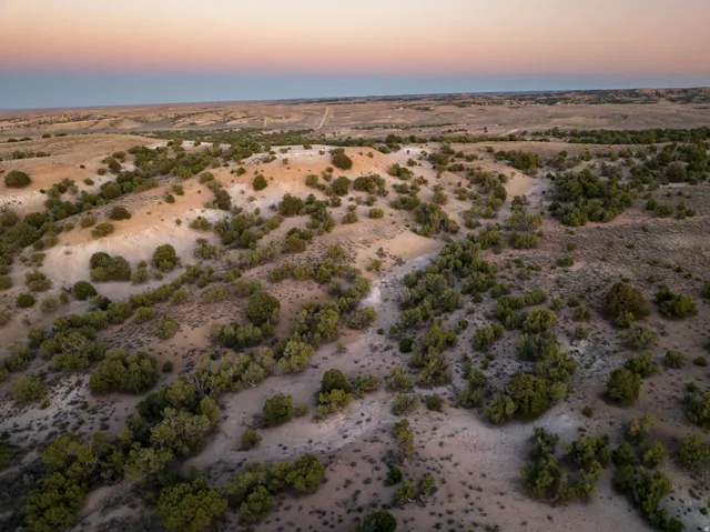 Expansive desert landscape featuring rolling terrain and scattered green vegetation