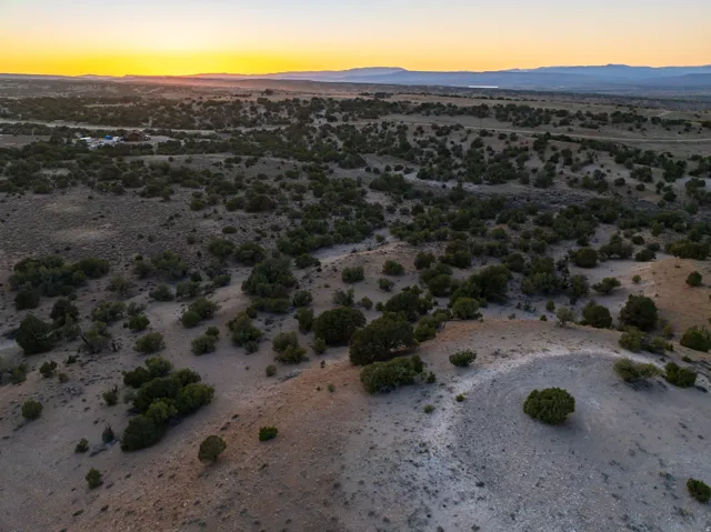 Expansive desert landscape featuring scattered green vegetation and distant mountain ranges