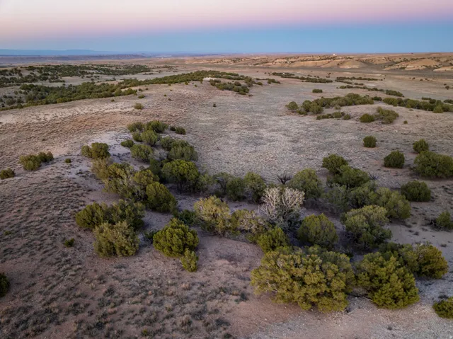 Expansive open terrain featuring natural vegetation, rolling hills, and a distant horizon