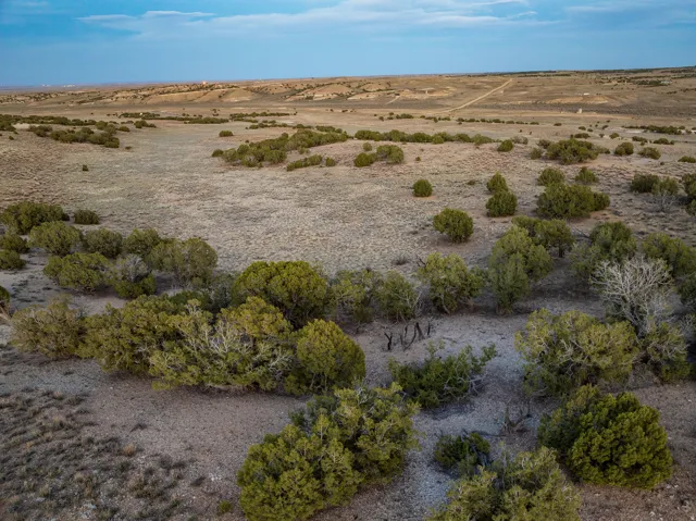 Expansive terrain featuring natural vegetation and distant rolling hills under a blue sky